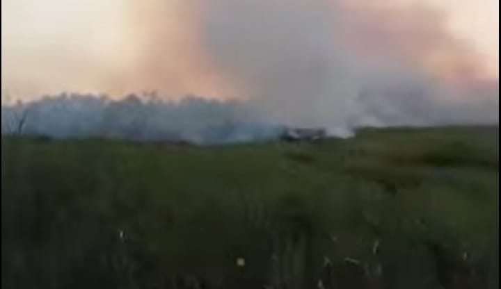 Kabut asap menyelimuti Provinsi Jambi
